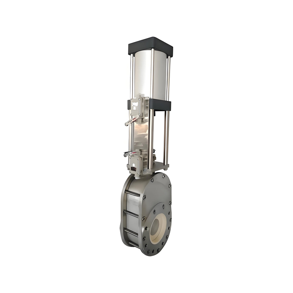 Stainless Steel Ceramic Double Gate Valve - Bavolr